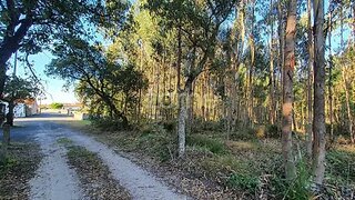 Land for sale in Marinha Grande, Portugal — €19,950