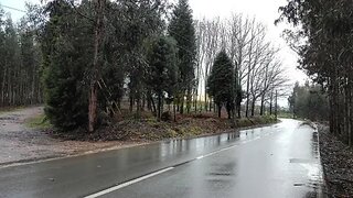 Land for sale in Águeda, Portugal — €40,000