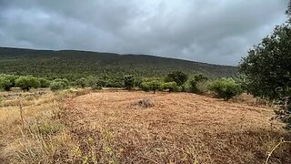 Land for sale in Torres Novas, Portugal — €15,000