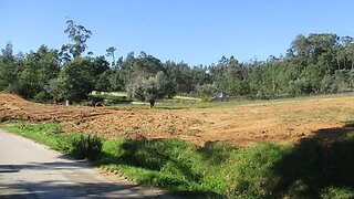 Land for sale in Montemor-o-Velho, Portugal — €96,500