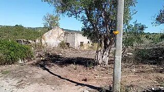 Land for sale in Torres Vedras, Portugal — €85,000