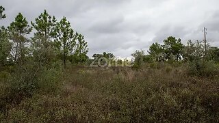 Land for sale in Castelo Branco, Portugal — €17,500