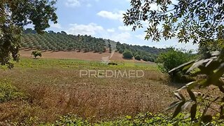 Land for sale in Alcanena, Portugal — €75,000