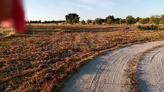 Land for sale in Coruche, Portugal — €25,000