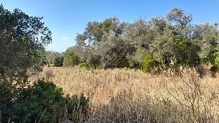 Terreno de 3420 m² em Faro