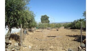Land for sale in Idanha-a-Nova, Portugal — €10,500