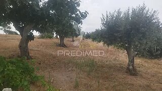Terreno em Nisa