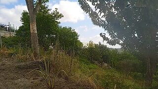 Land for sale in Paredes, Portugal — €45,000
