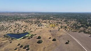 Terreno para venda em Mora, Portugal — 1 200 000 €
