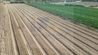 Land for sale in Peniche, Portugal — €130,000