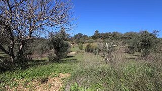 Land for sale in Tomar, Portugal — €7,000
