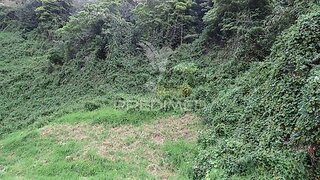 Land for sale in Câmara de Lobos, Portugal — €120,000