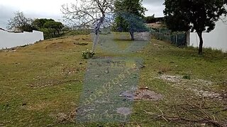 Land for sale in Águeda, Portugal — €75,000