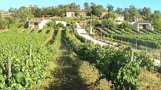 Land for sale in Lagos, Portugal — €1,500,000