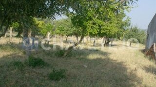 Land for sale in Tomar, Portugal — €130,000