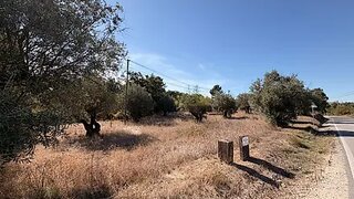 Land for sale in Santarém, Portugal — €40,000