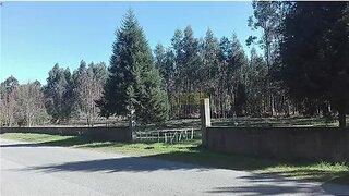 Land for sale in Carregal do Sal, Portugal — €25,000