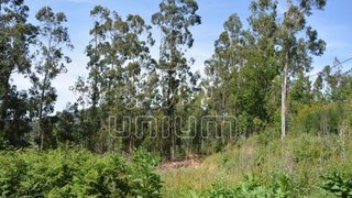 Land for sale in Vila Verde, Portugal — €32,000