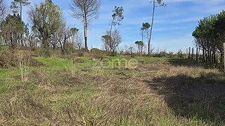 Land for sale in Nelas, Portugal — €34,500