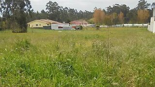 Land for sale in Oliveira do Bairro, Portugal — €80,000