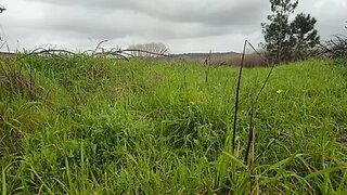 Land for sale in Águeda, Portugal — €75,000
