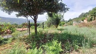 Land for sale in Vila Nova de Cerveira, Portugal — €30,000