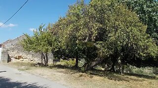 Land for sale in Torres Novas, Portugal — €35,000