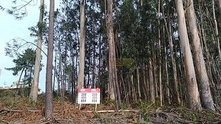 Terreno · 500 m² · 60 000 €