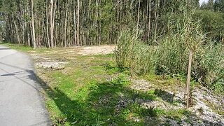 Land for sale in Caldas da Rainha, Portugal — €110,000