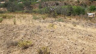 Land for sale in Loulé, Portugal — €36,000