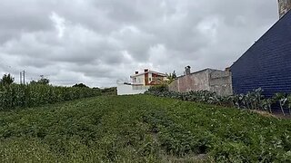 Land for sale in Aveiro, Portugal — €115,000
