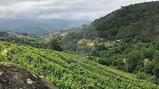 Land for sale in Baião, Portugal — €89,000