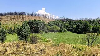 Land for sale in Covilhã, Portugal — €8,500