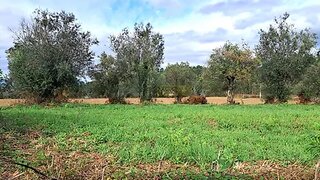 Land for sale in Barcelos, Portugal — €165,000