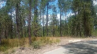 Land for sale in Ourém, Portugal — €7,500