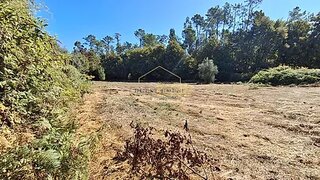 Land for sale in Vouzela, Portugal — €13,000