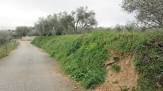Terreno em Tarouca
