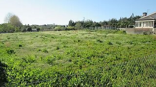 Land for sale in Santa Maria da Feira, Portugal — €145,000