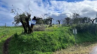 Land for sale in Tomar, Portugal — €13,000