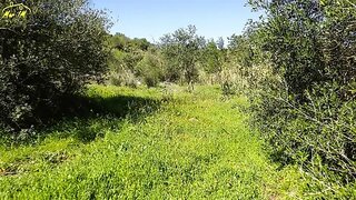 Terreno em Castro Marim