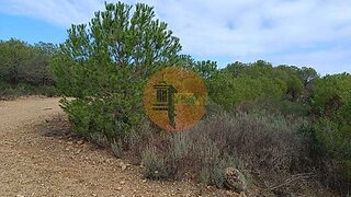 Land for sale in Alcoutim, Portugal — €77,000