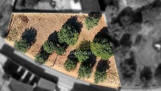 Terreno de 1000 m² em Santarém