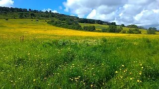 Land for sale in Sintra, Portugal — €92,000