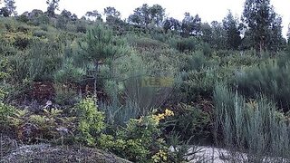 Land for sale in Celorico de Basto, Portugal — €36,000