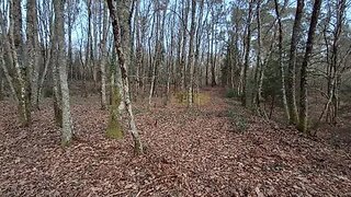 Land for sale in São Pedro do Sul, Portugal — €8,500