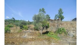 Land for sale in Proença-a-Nova, Portugal — €8,500