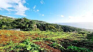 Land for sale in Machico, Portugal — €80,000