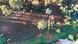 Land for sale in Póvoa de Lanhoso, Portugal — €54,900