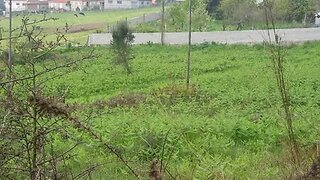 Land for sale in Barcelos, Portugal — €350,000