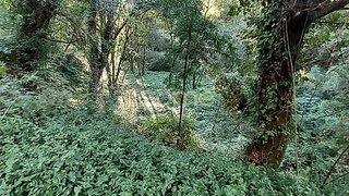 Land for sale in Gondomar, Portugal — €39,000
